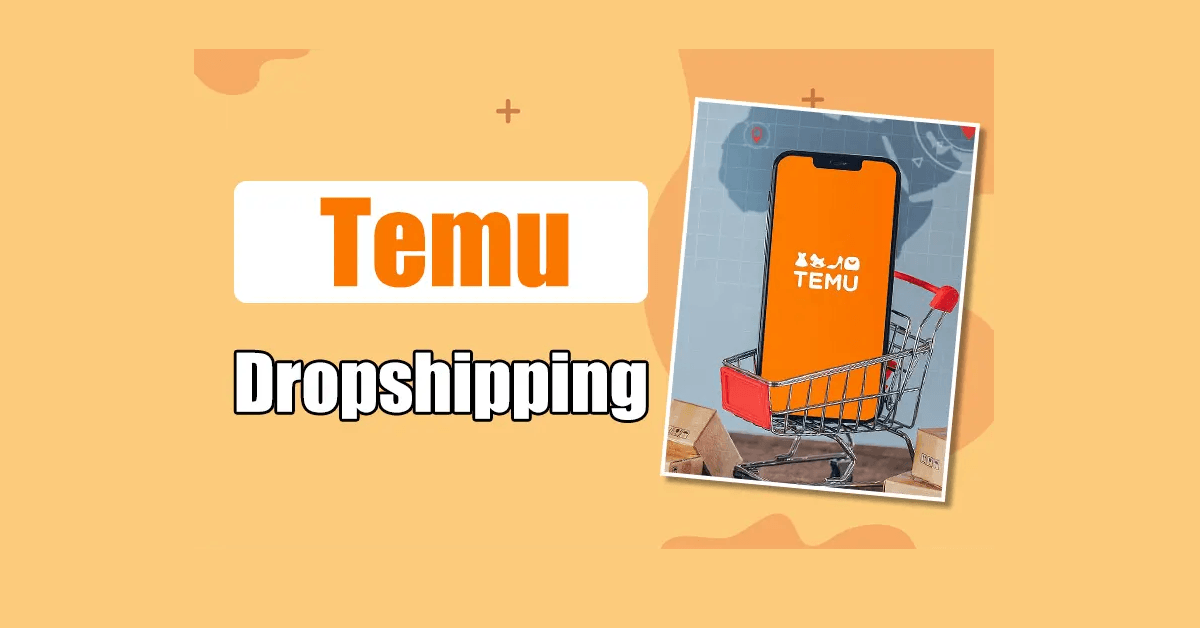 Temu dropshipping